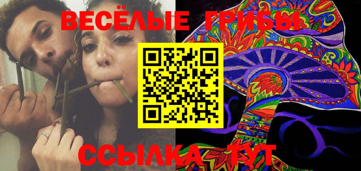 Псилоцибиновые грибы Psilocybe Батайск