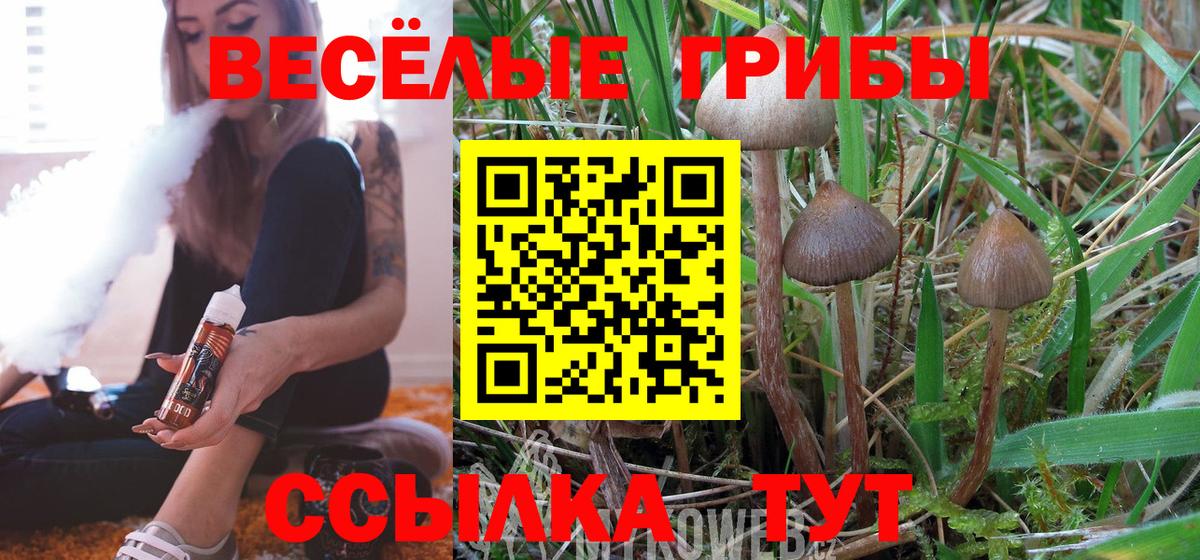 продажа наркотиков  Галлюциногенные грибы мухоморы  Вход с VPN  Батайск 
